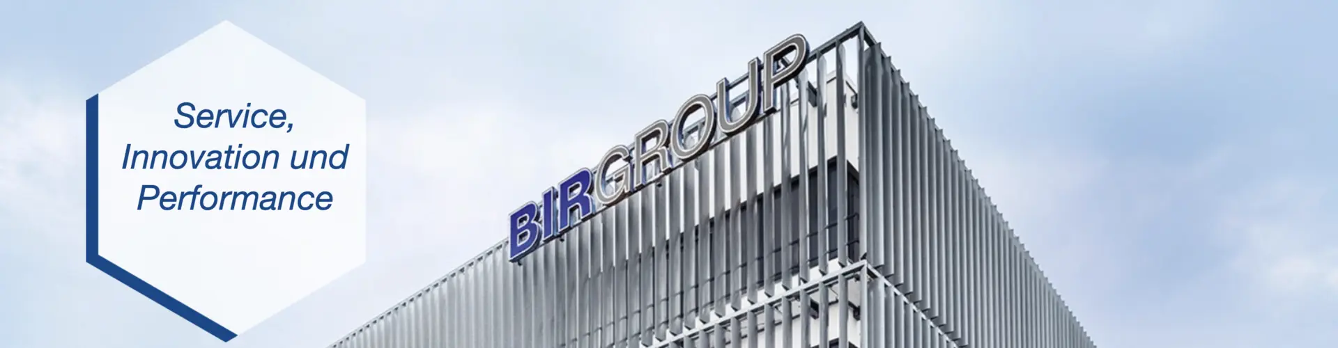 BIRFOOD GmbH & Co.KG cover